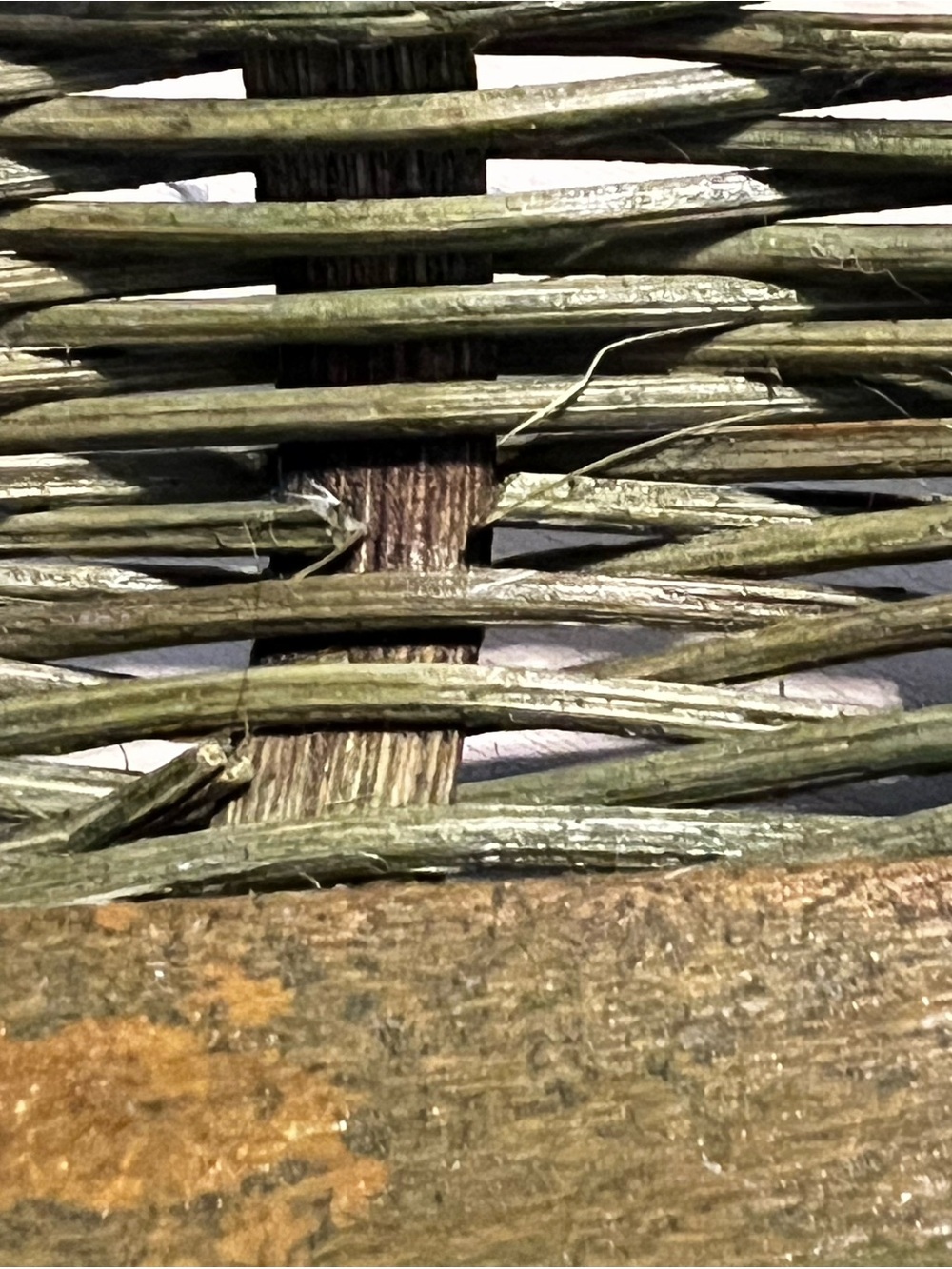 Woven Wooden Serving Basket - Brown & Olive Green - Picture 8 of 8
